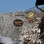 Ringhotel Siegfriedbrunnen فندق Grasellenbach