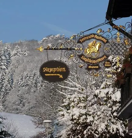 Ringhotel Siegfriedbrunnen Hotel Grasellenbach