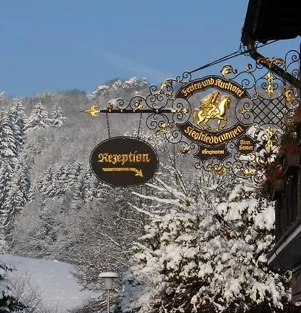 Ringhotel Siegfriedbrunnen 酒店 Grasellenbach