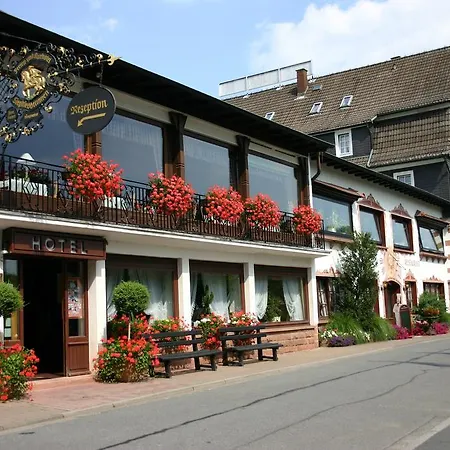 Ringhotel Siegfriedbrunnen 4*