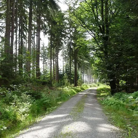 酒店 Ringhotel Siegfriedbrunnen