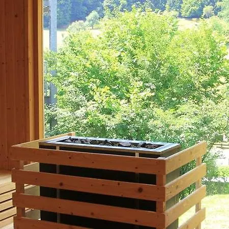 Ringhotel Siegfriedbrunnen 4* Grasellenbach