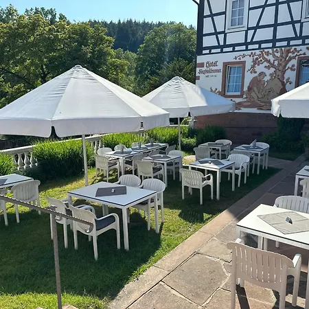Hotel Ringhotel Siegfriedbrunnen Grasellenbach