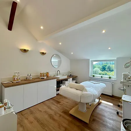 Ringhotel Siegfriedbrunnen Hotel Grasellenbach