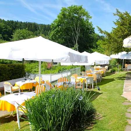 Ringhotel Siegfriedbrunnen 4* Grasellenbach