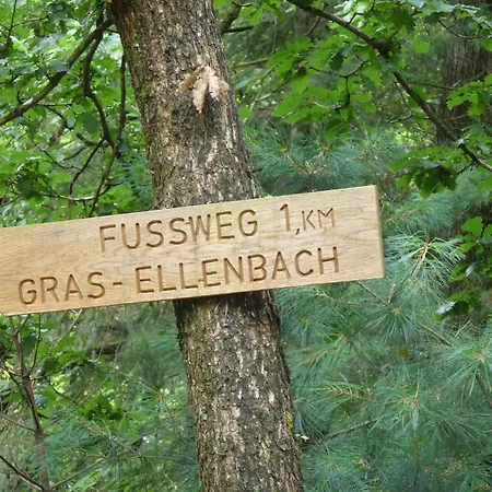 Ringhotel Siegfriedbrunnen 酒店