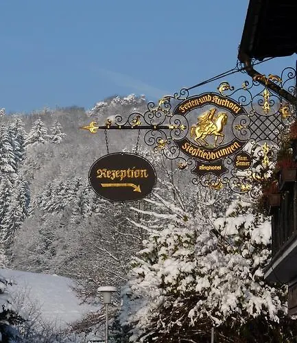 Ringhotel Siegfriedbrunnen Hotel Grasellenbach