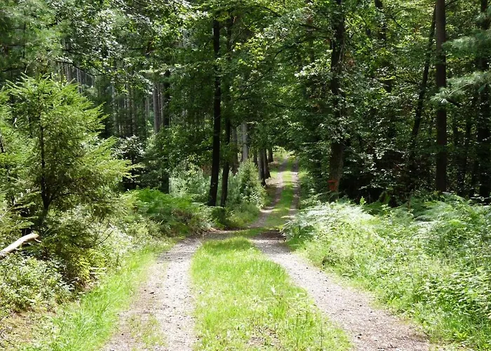 Ringhotel Siegfriedbrunnen 酒店