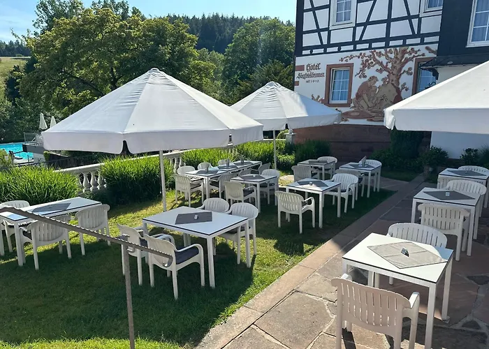 酒店 Ringhotel Siegfriedbrunnen Grasellenbach