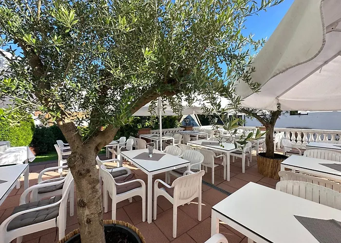 Ringhotel Siegfriedbrunnen Hotel Grasellenbach