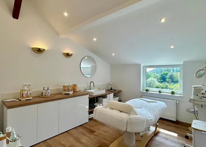 Ringhotel Siegfriedbrunnen Hotel Grasellenbach