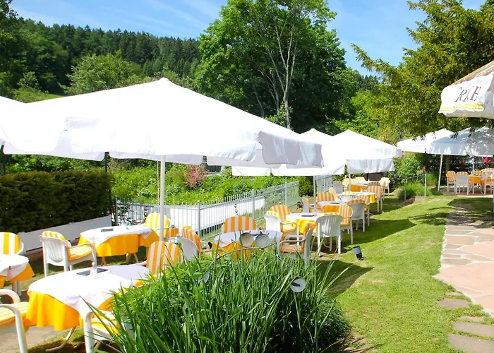 Ringhotel Siegfriedbrunnen 4* Grasellenbach