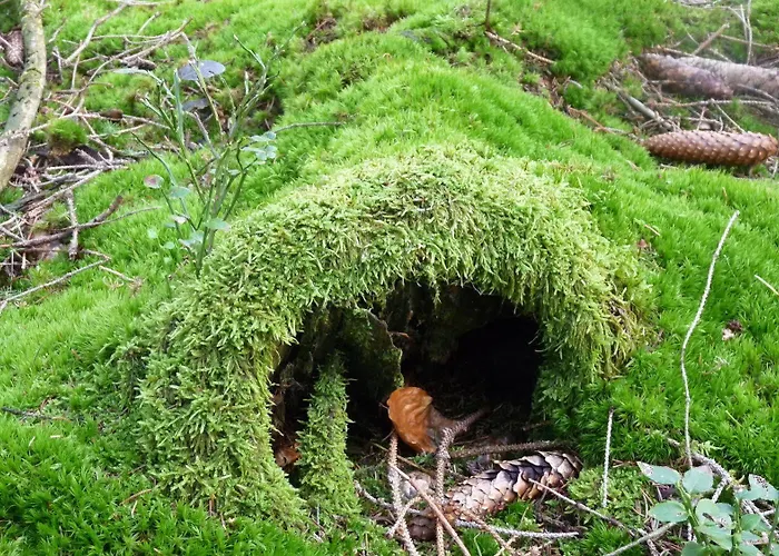 Ringhotel Siegfriedbrunnen Hotel Grasellenbach